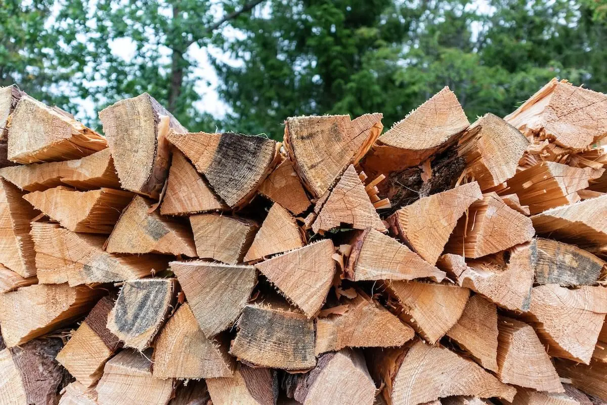 bulk firewood supplier Dubai